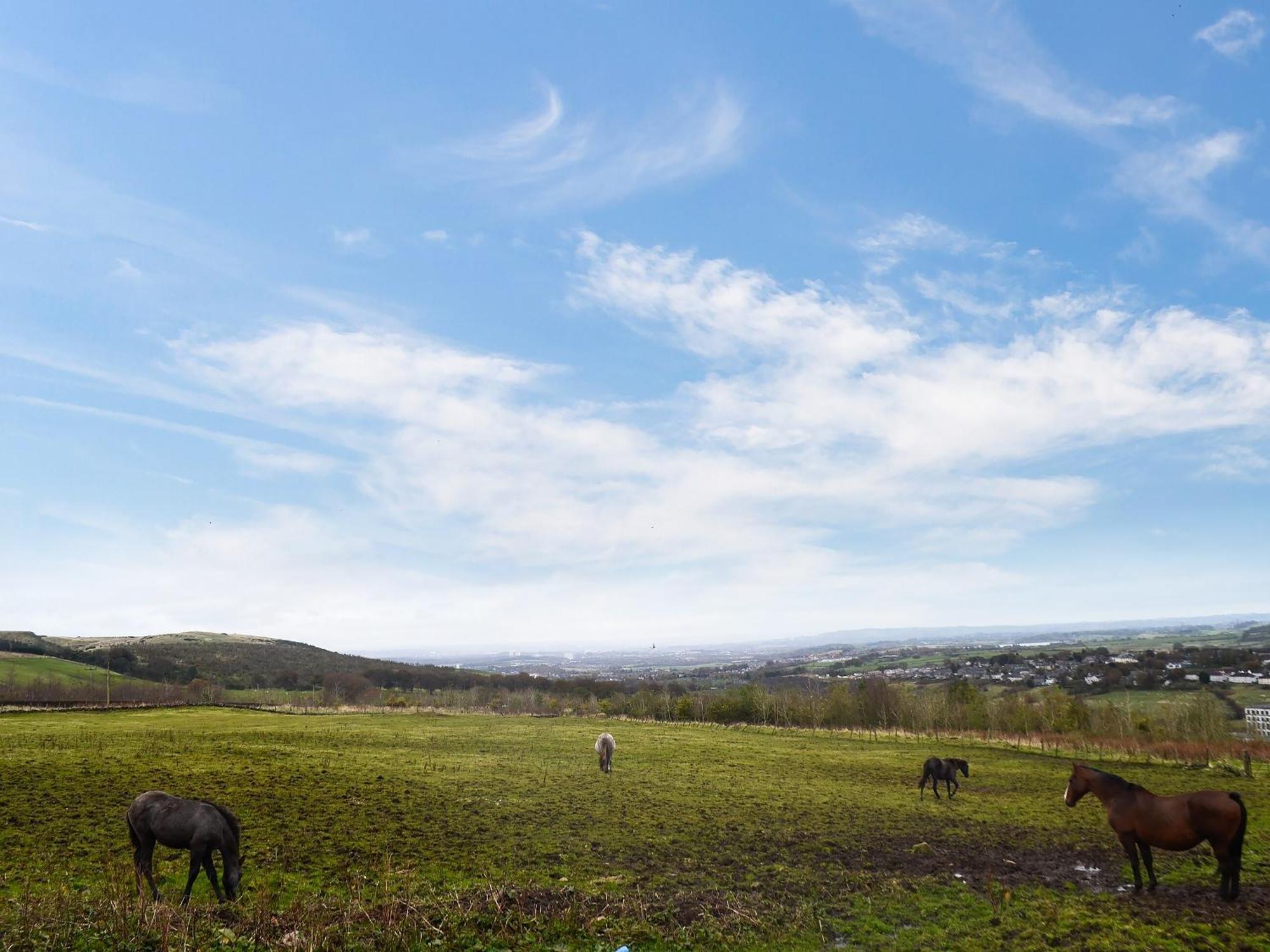 Вілла The Calving Shed Neilston Екстер'єр фото